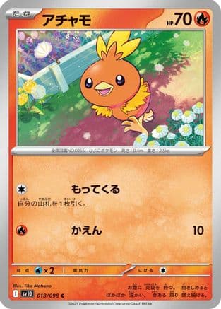 Torchic #18