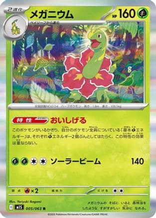 Meganium #5