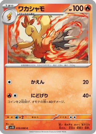 Combusken #19